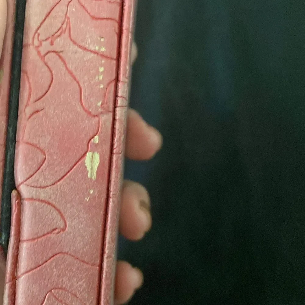 Kat Von D Brush Red Case